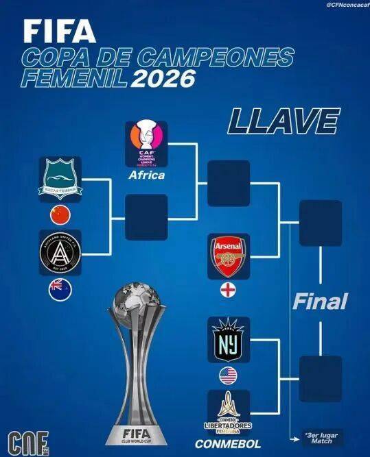 再次代表中, 归属